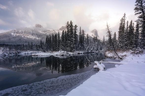 outdoors, cold, winter, snow, nature