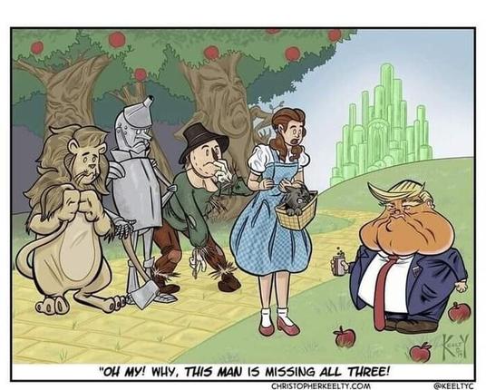 Cartoon by Christopher Keelty (2023)

A scene from Oz, with the familiar cast - Cowardly Lion, Tin Woodsman, the Scarecrow, and Dorothy, with Toto in the picnic basket she's holding.

The cast is standing on the Yellow Brick Road, Emerald City behind them, and facing them from the grass to the side, is Donald Trump, holding a diet Coke, fallen apples at his feet.  About half the size of Dorothy. Blue suit, white shirt, long red tie. Signature (one time) blond hair, and familiar orange face.

Says Dorothy to her 3 companions:
[referencing their wishes for The Wizard to grant:  Courage, A Heart, A Brain...]

"OH MY! THIS MAN IS MISSING ALL THREE!"