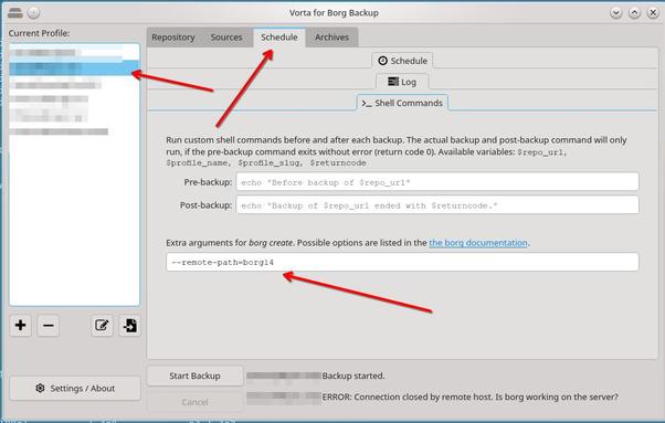 Screenshot showing the text box where you can input the --remote-path switch in Vorta backup application.