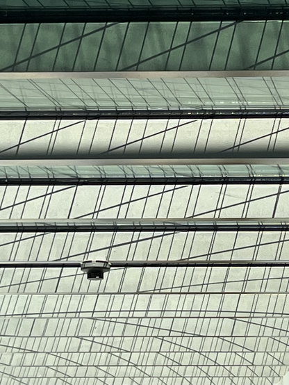 Ein Glasdach von unten aus einem spitzen Winkel fotografiert, so dass die waagerechten Träger ganz eng beieinander liegen. Nur vereinzelt sieht man die Glasscheiben, auf diesen spiegelt sich ein Drahtgeflecht. Auf den Trägern sieht man den Schatten des Drahtgeflechtes. Im unteren linken Drittel hängt eine Überwachungskamera an einem Träger.