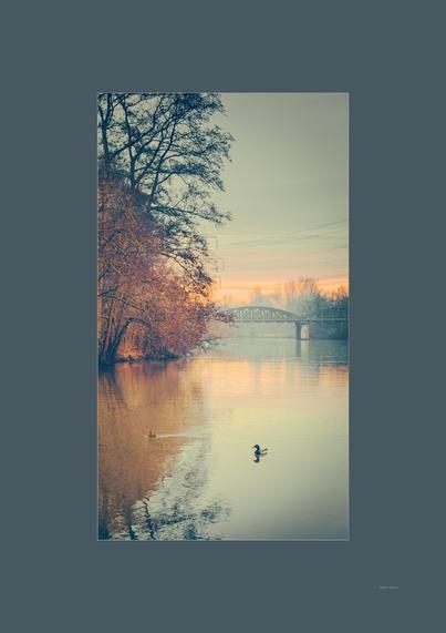River, 2 ducks male female, scrubs and trees along the river bank, foreground is seen a train bridge crossing the river on a British mid winter weather at sunset orangish sky and cloud in the mixed.