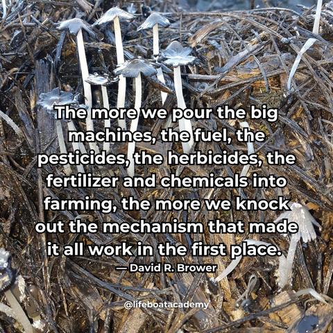 A social post from @lifeboatacademy which says: The more we pour the big machines, the fuel, the pesticides, the herbicides, the fertilizer and chemicals into farming, the more we knock out the mechanism that made it all work in the first place. — David R Brower 