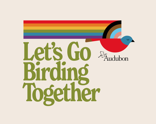 Graphic illustration of a Painted Punting leaving behind a rainbow trail with wings inspired by the progress pride flag captioned "Let's Go Birding Together" (LGBT) and initiative founded by Jason "The Birdnerd" St. Sauver.