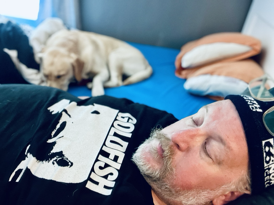 A man and a dog napping on a bed. 