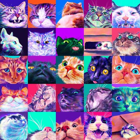 Grid of 25 cat paintings in the Close Encounters Collection, with various cat faces and expressions.