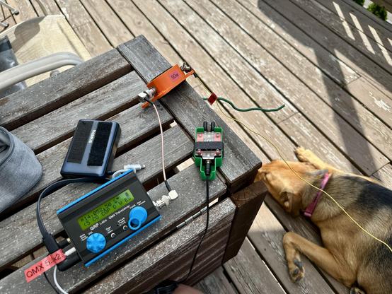 Qrp setup with dog