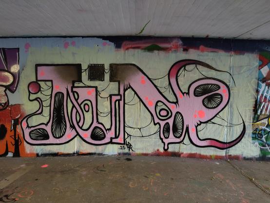 June written on a wall in a stylish way, with pink and neon pink filling and black borders.