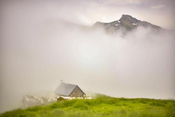 Un jour je crois je vais trouver un bois de cerf, mais ça sera sans vraiment s'attendre. Comme aujourd'hui. Sans s'attendre ça fut encore plus beau que d'habitude. Ce brouillard, ces nuages, les hautes herbes, les fleurs, les gouttes d'eau sur les toiles d'araignées, les arbres fantomatiques, le chevreuil qui a déguerpi pour disparaitre dans un nuage descendu sur terre, le renard qui d'abord a été happé par un nuage puis relâché sur le pan de la montagne verte. Et le jeu des brumes d'un côté et d'autre des crêtes