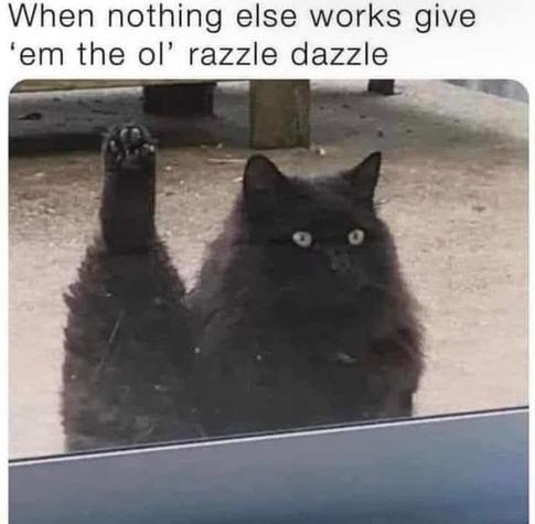 Meme: A fluffy black cat is looking through a screen door and raiding one leg straight up in the air.
Caption: "When nothing else works, give 'em the ol' dazzle dazzle."