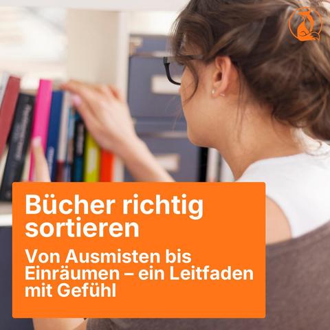 Bewertungen zu alltagsfuchs.de