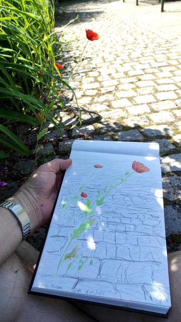 Le dessin des coquelicots, aux crayons de couleur, devant la scène