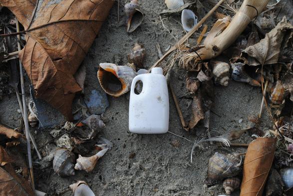A small white plastic jug with a handle lies on sandy ground, surrounded by scattered natural debris including dried brown leaves, various seashells, pieces of driftwood, and weathered organic matter. The scene appears to be beach litter mixed with natural coastal materials, creating a contrast between the discarded plastic container and the organic elements that have washed ashore. Photo by ORZAN CONSTANTIN: https://www.pexels.com/photo/seashells-and-trash-on-a-sandy-shore-3749974/