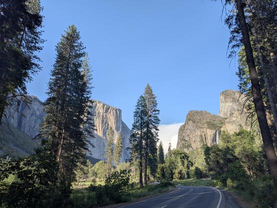 Looking up into Yosemite Valley