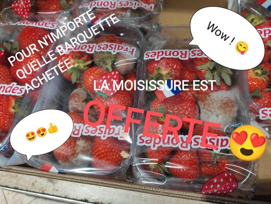 Image: barquettes de fraises
Texte: pour n'importe quelle barquette achetée la moisissure est offerte ! Wox ! 🤩😍👍