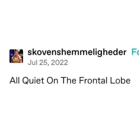 skovenshemmeligheder on Tumblr

All Quiet On The Frontal Lobe
