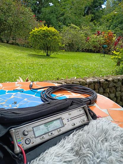 In the foreground a digital audio recorder with a coiled cable, both on a blue and orange tile table. Beyond is a tropical lawn with various plants along with a microphone on a tripod. It is very lush and humid. The birds are beautiful sounding and the constant leaf blowers are not.