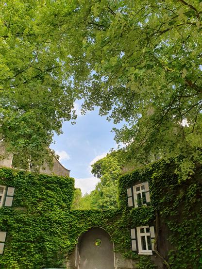Gebäude mit Fassadenbegrünung in der Straße  Waldlehne. Im Hintergrund ein Teil des Lührmannwaldes.