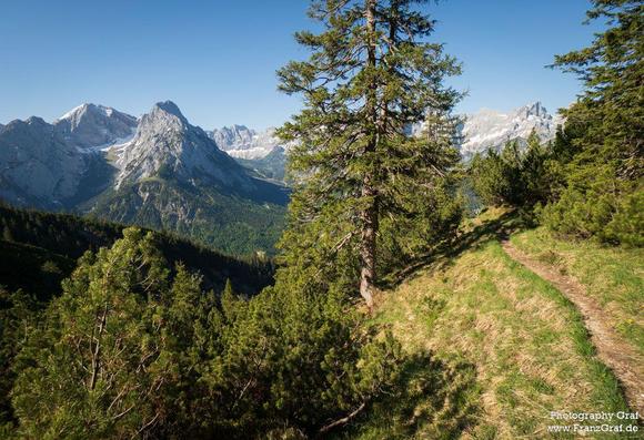 A breathtaking scene of a mountain range set against a backdrop of lush green trees and distant mountains. The image showcases the beauty of nature with its towering peaks and dense forests.  The landscape exudes a sense of wilderness and adventure, inviting viewers to explore its rugged terrain. The image captures the essence of outdoor exploration. A single tall tree stands prominently in the foreground, adding a touch of grandeur to the picturesque setting.