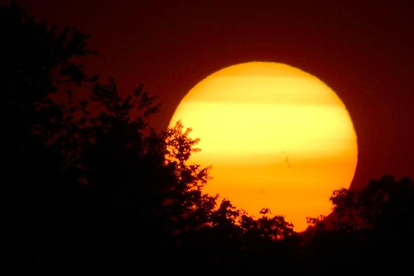 Sunset image of a large yellow sun with horizontal stripes nestled into treetops with a red sky behind.