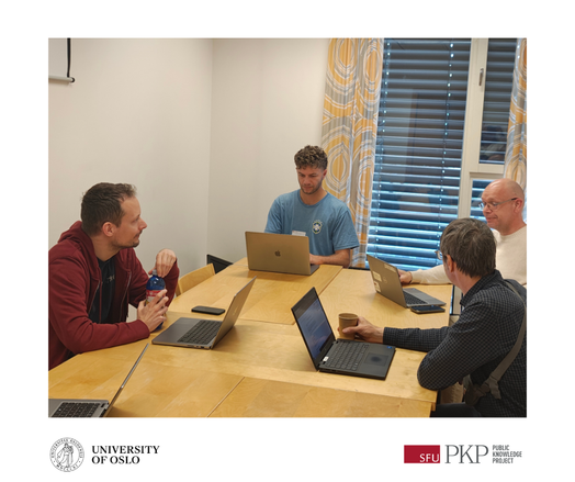 PKP Oslo 2025 participants on the API for published content working group