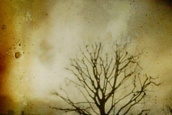 In the relationship between form and void, spatiality is created. 
Super 8 Fomapan film, exposed with Sankyo EM-30 XL camera, developed with Caffenol, FD 19' 15'' at 24,50°, bleach 13'at 24°.