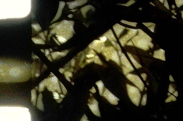 Interweaves among which more can be glimpsed.
Orwo 8mm film, exposed with Bolex H-8 REX camera, developed with Dokumol, FD 8' at 20°; bleach 13' at 21°.