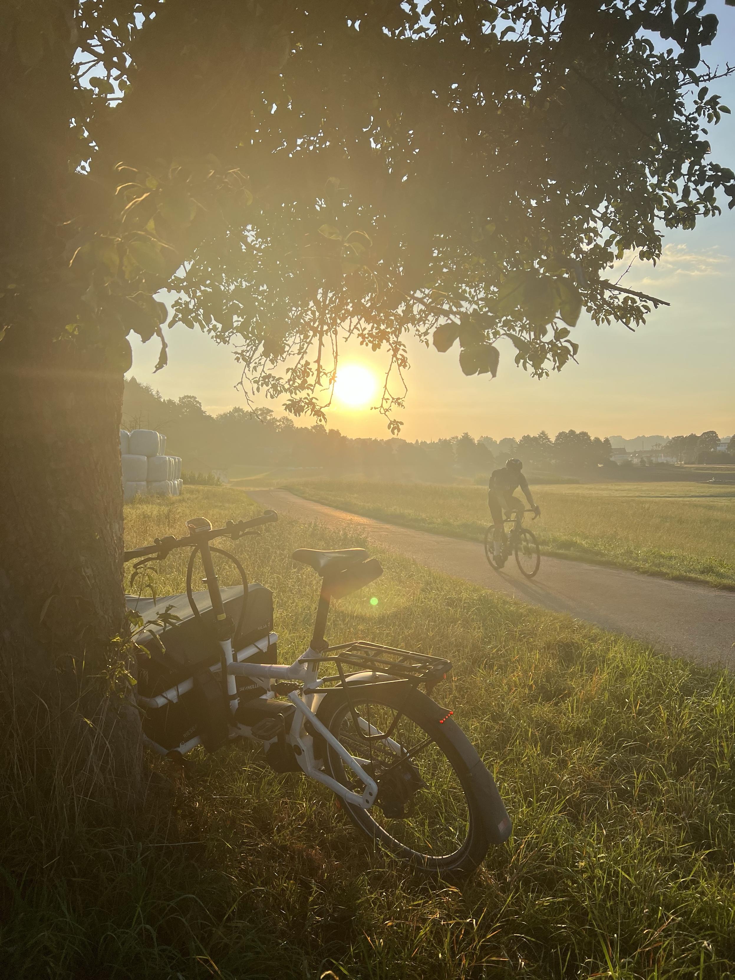 Im Gegenlicht der aufgehenden Sonne ist silhouettenhaft ein Baum mit angelehntem Lastenrad zu erkennen. Schemenhaft sieht man einen auf dem Weg daneben vorbei fahrenden Rennradfahrer