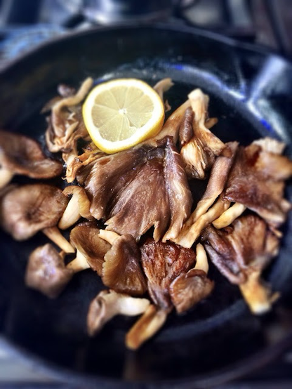 Mushrooms 