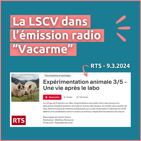 L'image montre des cochons du sanctuaire Co&xister face à face, semblant se saluer. Le titre indique "La LSCV dans l'émission Vacarme". Puis un screenshot montre l'épisode 3/5 de la série de reportage sur l'expérimentation animale réalisée par la RTS.