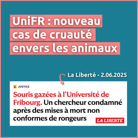 Le litre indique : "UniFR : nouveau cas de cruauté envers les animaux"
