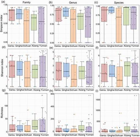 Comparison of α-diversity indices for plant collections by Rock in different provinces.