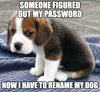 "Someone figured out my password. Now I have to rename my dog."
(Picture of a sad puppy)