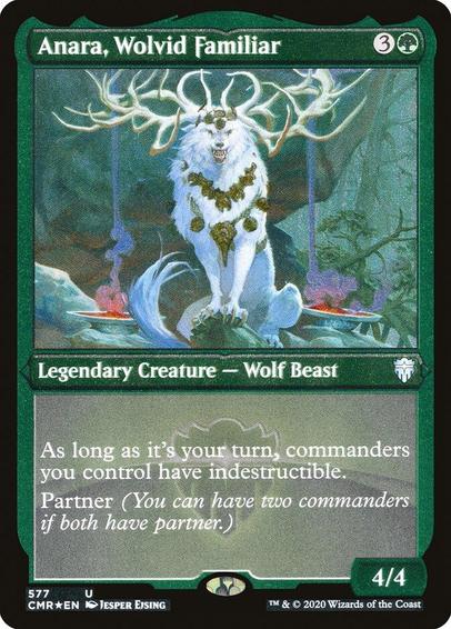 Card Name: Anara, Wolvid Familiar
Set: Commander Legends
Description: During your turn, commanders you control have indestructible. (Effects that say "destroy" don't destroy them. A creature with indestructible can't be destroyed by damage.)
Partner (You can have two commanders if both have partner.)
Artist: Jesper Ejsing