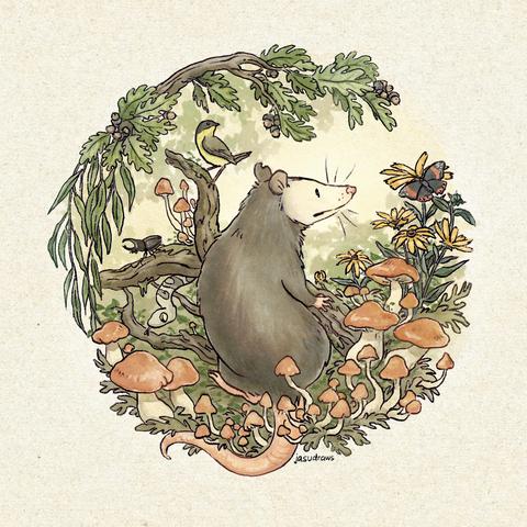 A drawing of an opossum nestled in a lush forest, surrounded by vibrant foliage, mushrooms, and other creatures like a snake, bird and a butterfly.