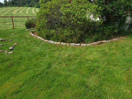 A shrubbery with a newly laid stone border.