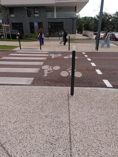 Poteaux peu visibles en plein milieu de la piste cyclable.