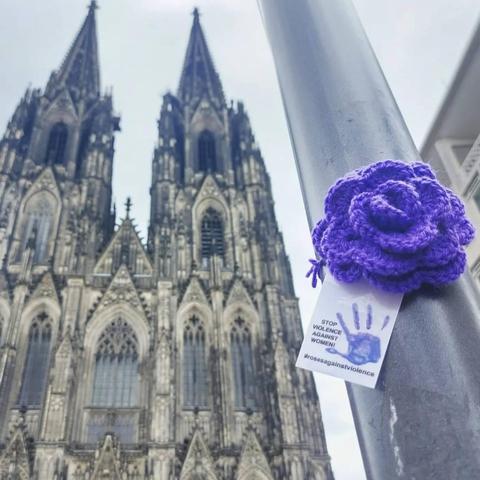 a purple rose in front of the cathedral in cologne