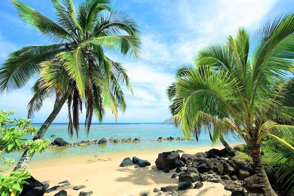 Hawaiian Ocean View with beach palm trees blue sky and scattered clouds 
