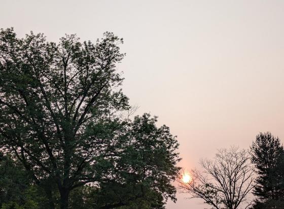 Photo of the orange sun shining in hazy gray sky behind several treetops.