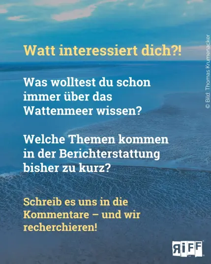 Drohnenaufnahme vom Wattenmeer im ersten Morgenlicht. Text: "Watt interessiert dich?! Was wolltest du schon immer über das Wattenmeer wissen? Welche Themen kommen in der Berichterstattung bisher zu kurz? Schreib es uns in die Kommentare – und wir