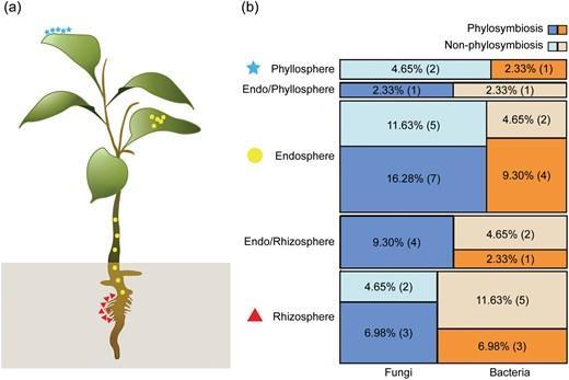 A mosaic plot shows the diversity of phylosymbioses across different plant compartments and microbiome types.