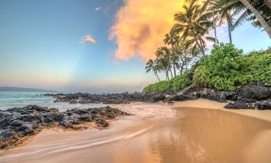 Beautiful Hawaiian beach scene with ocean and palm trees and a beautiful sky 