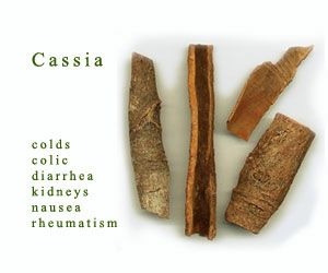 Cassia essential oil benefits