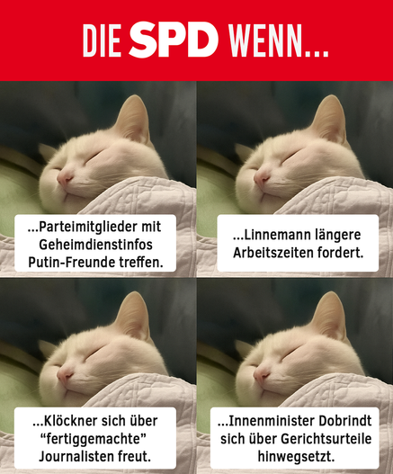 Viermal das gleiche Bild einer friedlich schlafenden weißen Katze, darüber die Überschrift: "Die SPD, wenn …" Die einzelnen Bilder sind beschriftet mit:
-  "... Parteimitglieder mit Geheimdienstinfos Putin-Freunde treffen."
- "… Linnemann längere Arbeitszeiten fordert."
- "… Klöckner sich über "fertiggemachte" Journalisten freut."
- ".… Innenminister Dobrindt sich über Gerichtsurteile hinwegsetzt."