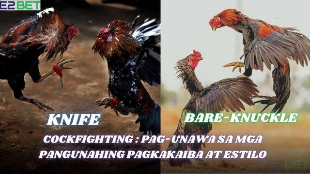 Knife vs Bare-Knuckle Cockfighting: Pag-unawa sa Mga Pangunahing Pagkakaiba at Estilo

