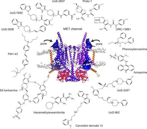 Small molecule blockers illustration