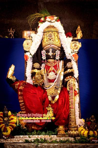 Idol of Hindu deity Krishna in red wearing gold shoes, gold crown, and many gold ornaments; right hand in blessing pose and a red-stone studded gold mace in left hand (rested on the floor). Krishna's right leg is straight and lifted in air to his right (as a gymnast might). Gold icon of chakra (disc) behind and just above Krishna's right shoulder; gold icon of shankha (conch) behind the left shoulder. Krishna stands on a gold perch.

Thick white flower garland from Krishna's right waist going up and over the crown and flowing down on Krishna's left all the way to the perch.

Blue cloth background.