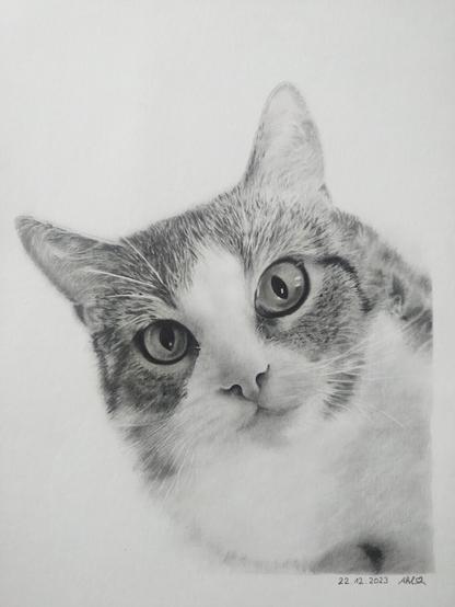 unsere Luna mit Bleistift gezeichnet ✏️

#bleistift #pencil #bleistiftzeichnung #pencildrawing #tierportrait #animalportrait #katze #cat #catlover #katzenliebe #selbstgezeichnet #selfdraw #selbstgemacht #selfmade #selbstgemalt
