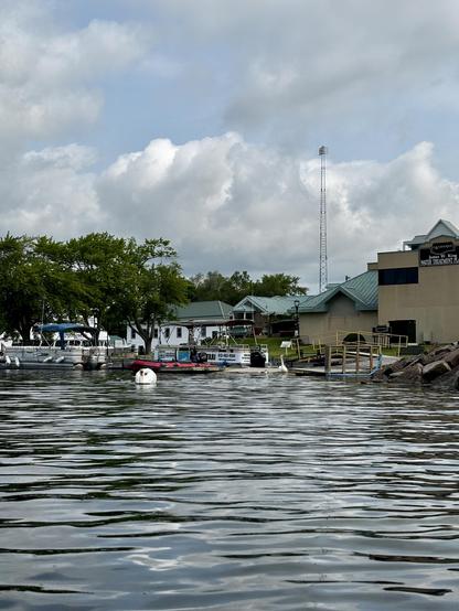 A swan and baby swans are on a low dock in the distance with small buildings nearby. In the foreground is a swan starting to look pretty angry as it comes toward me.. 