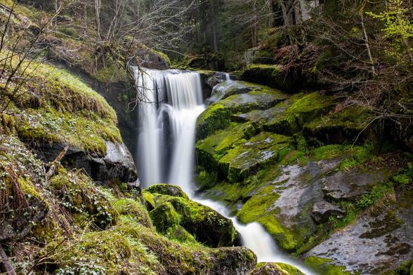 Triberger Wasserfälle Fotografie